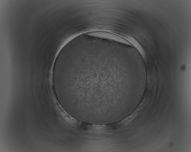 X0000095671052200801151100