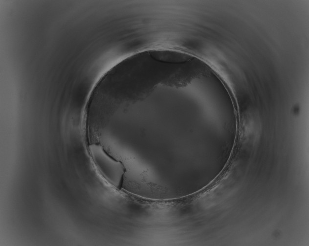 X0000095671053200801151100