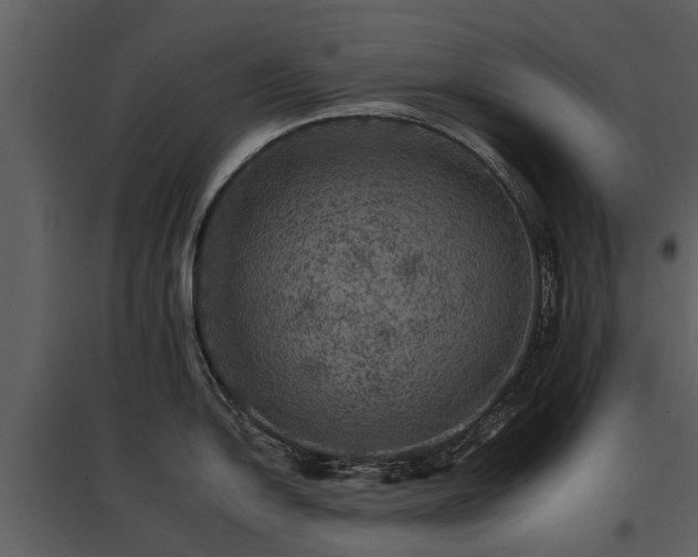 X0000095671054200801151100