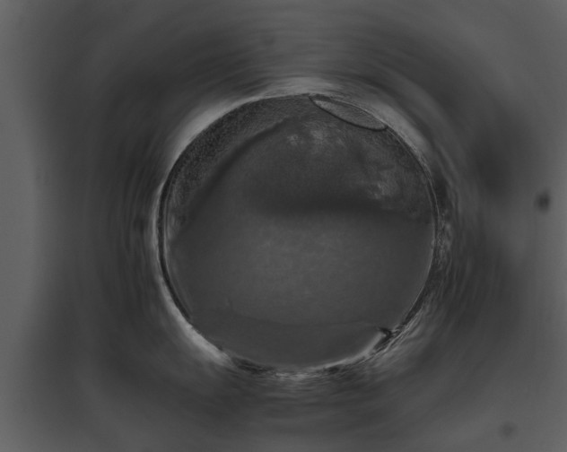 X0000095671055200801151100