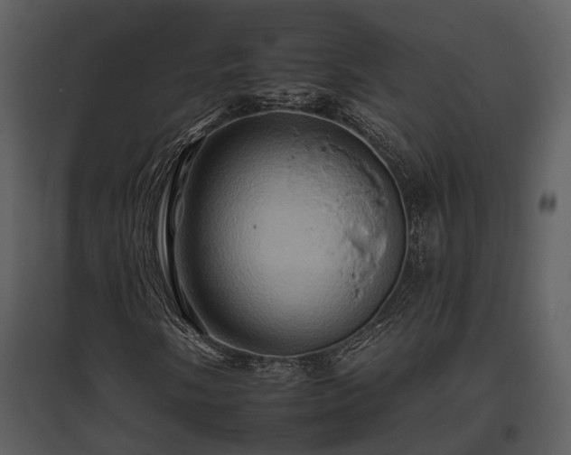 X0000095671058200801151059