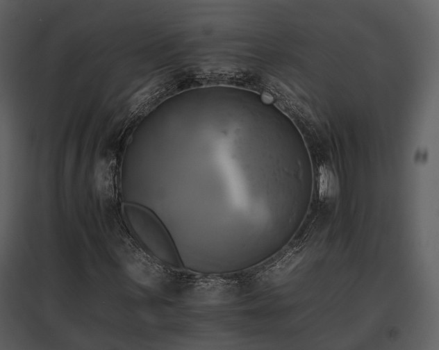 X0000095671059200801151059