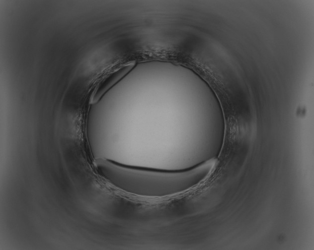 X0000095671060200801151059