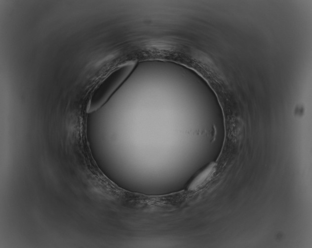 X0000095671061200801151059