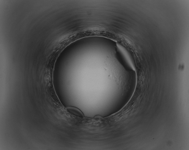 X0000095671062200801151059