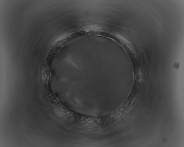 X0000095671063200801151059