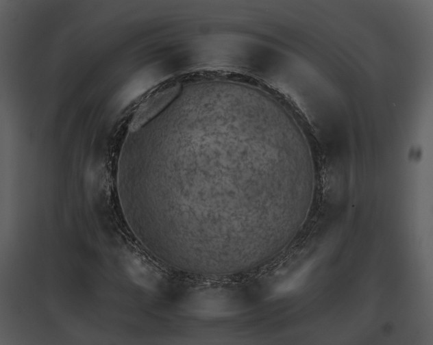 X0000095671064200801151059