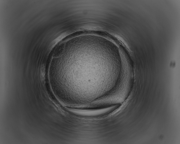 X0000095671065200801151059