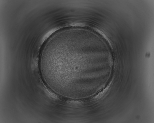 X0000095671066200801151059