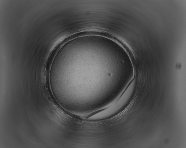 X0000095671067200801151059