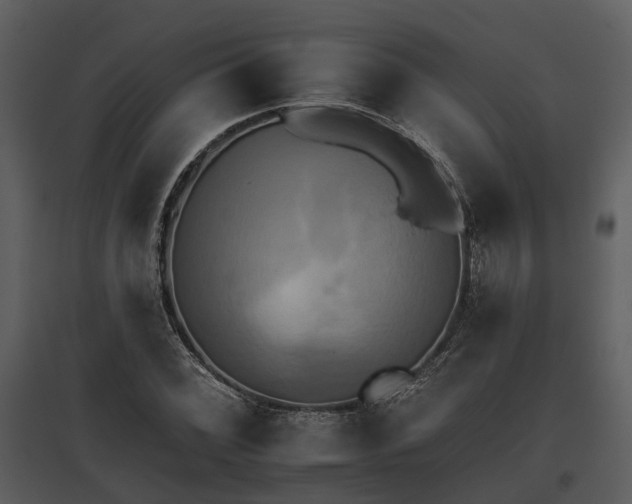 X0000095671068200801151059