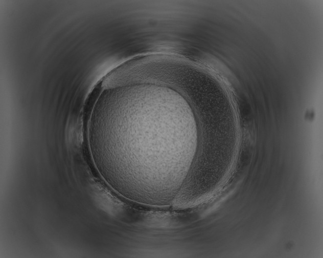 X0000095671069200801151059