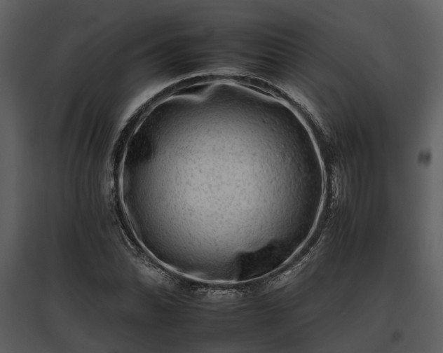 X0000095671070200801151059