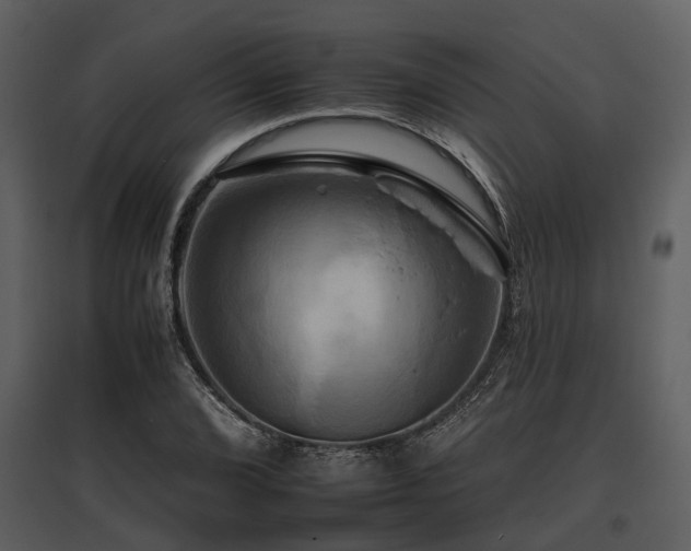 X0000095671072200801151059