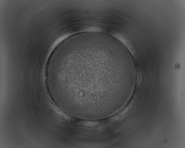 X0000095671074200801151059