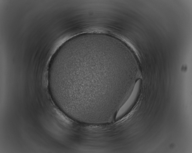 X0000095671075200801151059