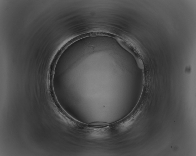 X0000095671076200801151059