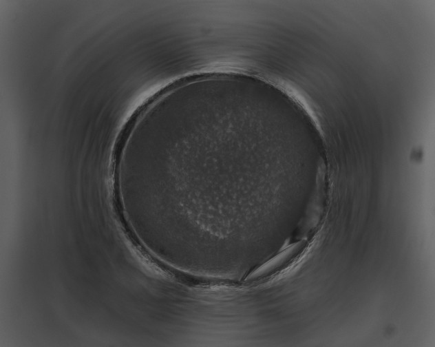 X0000095671077200801151059