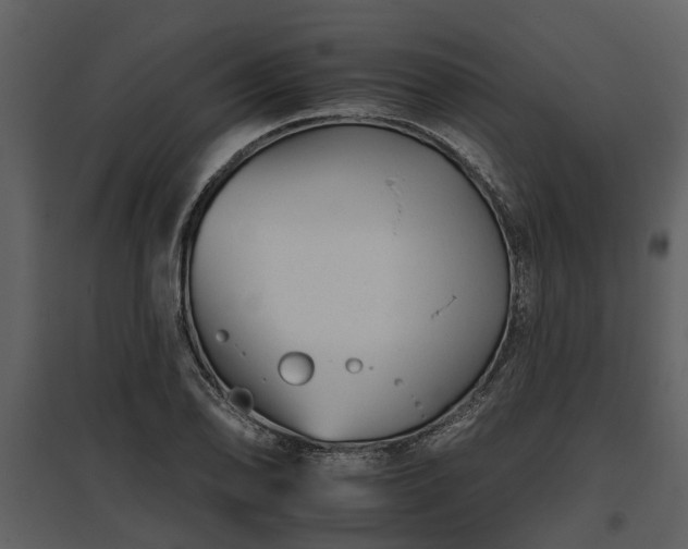 X0000095671078200801151059