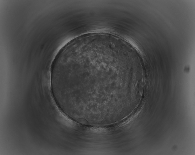 X0000095671079200801151059