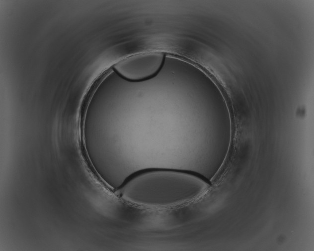 X0000095671080200801151059