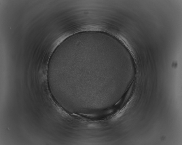 X0000095671081200801151058