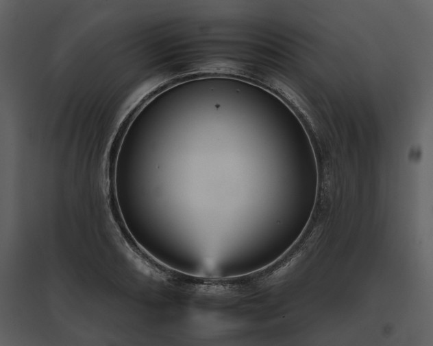 X0000095671082200801151058