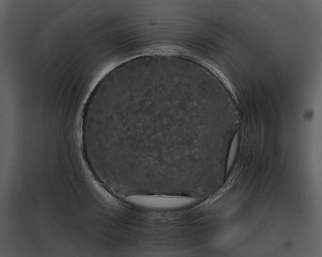 X0000095671083200801151058