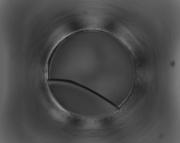 X0000095671084200801151058