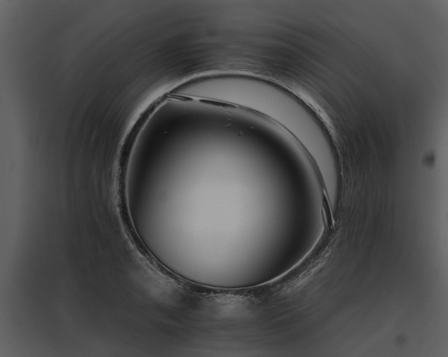 X0000095671085200801151058