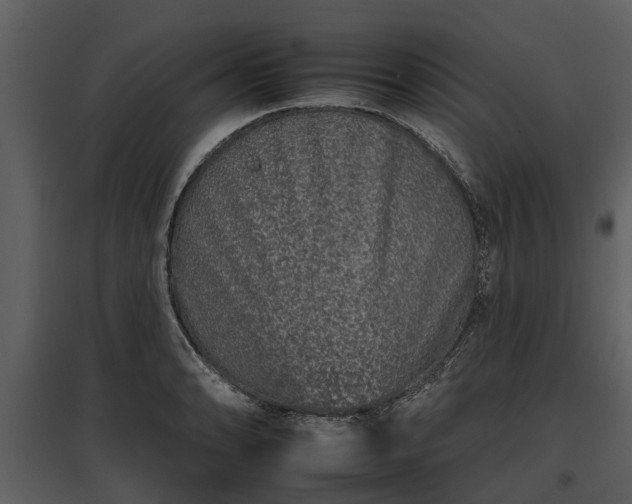 X0000095671086200801151058