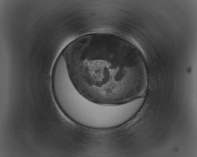 X0000095671087200801151058