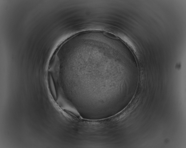 X0000095671088200801151058