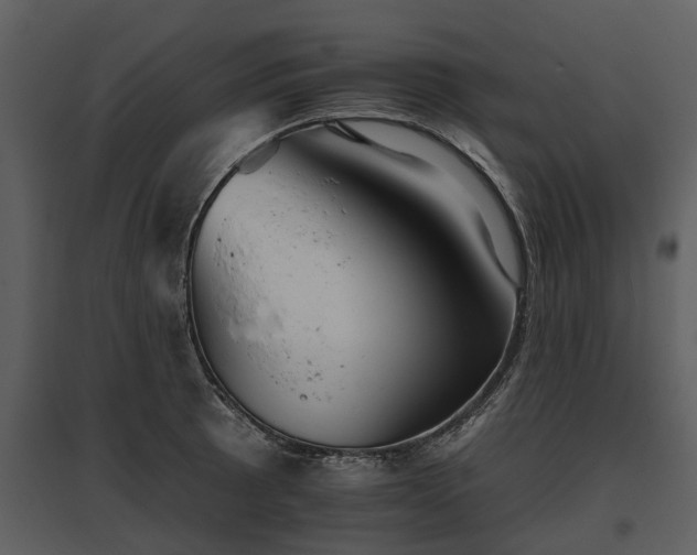 X0000095671089200801151058