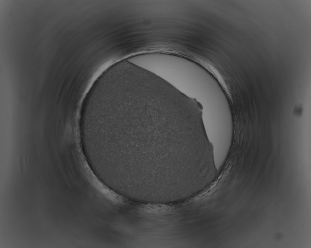 X0000095671091200801151058