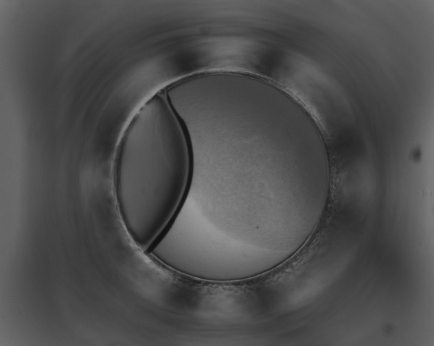 X0000095671092200801151058