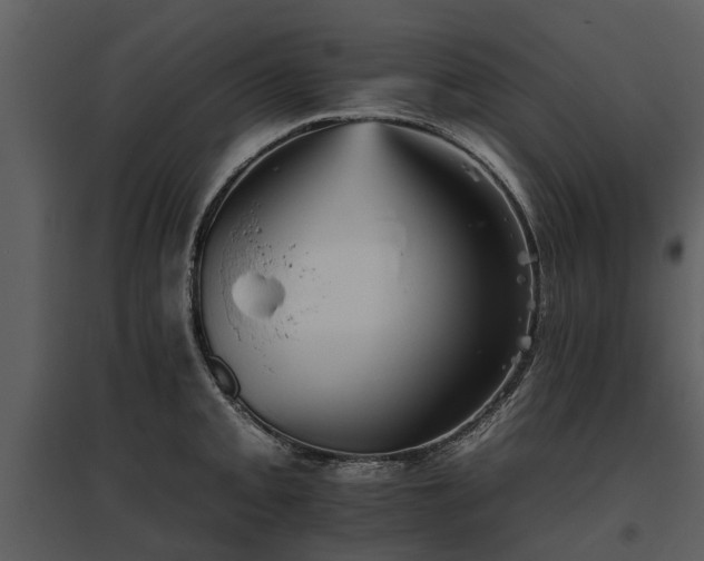 X0000095671093200801151058