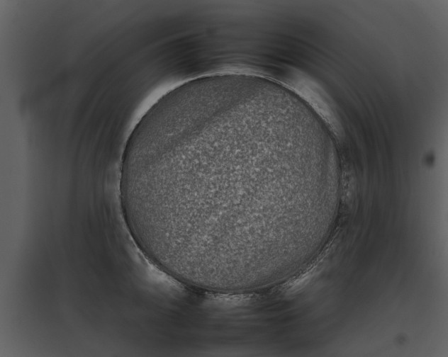 X0000095671094200801151058
