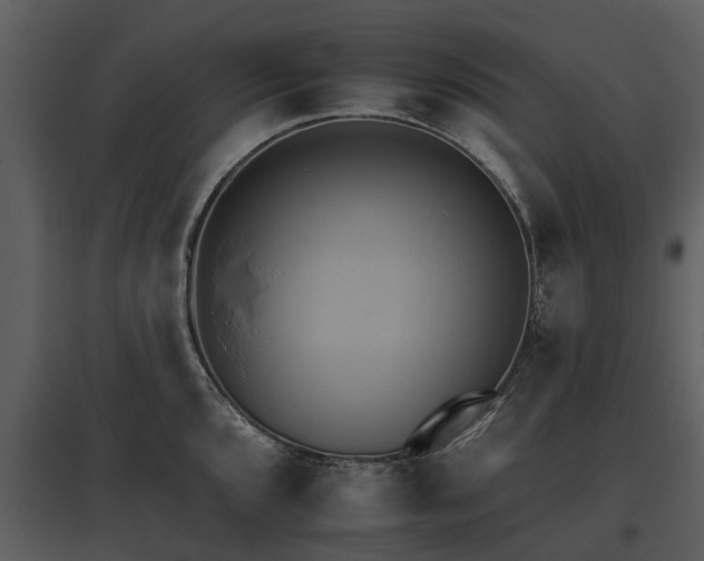 X0000095671096200801151058