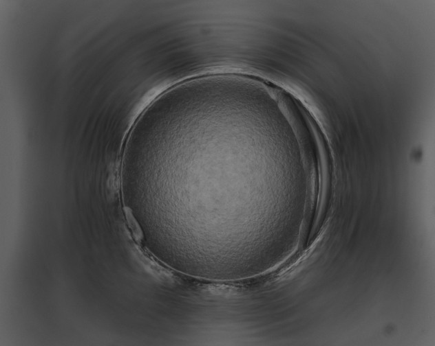 X0000095671097200801151058