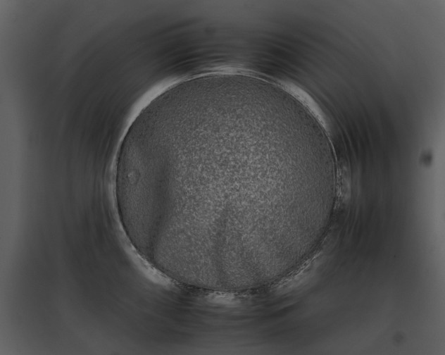 X0000095671098200801151058