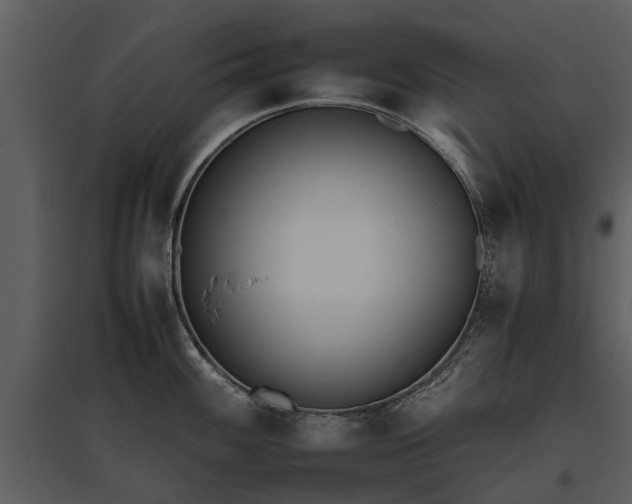 X0000095671100200801151058