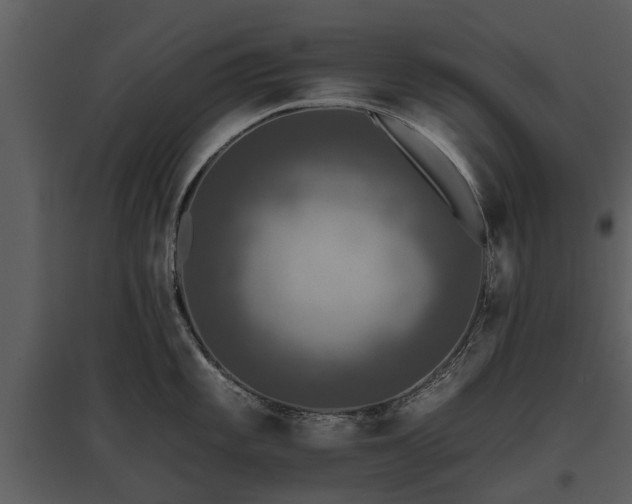 X0000095671101200801151058