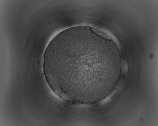 X0000095671102200801151058