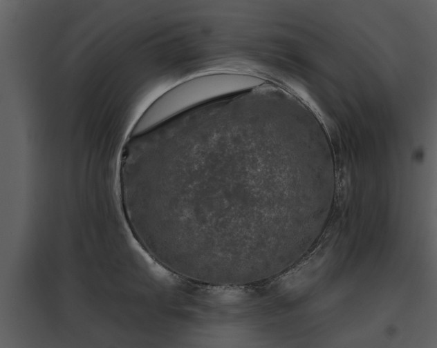 X0000095671103200801151058