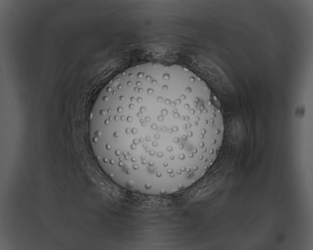 X0000095671105200801151057