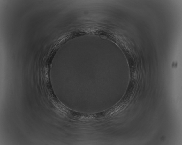 X0000095671106200801151057