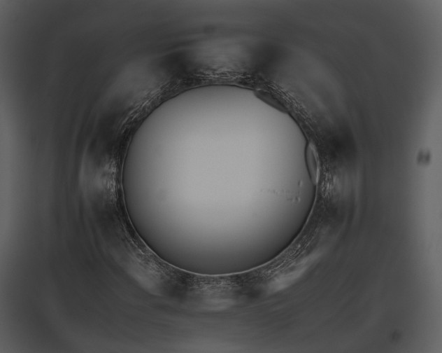 X0000095671108200801151057