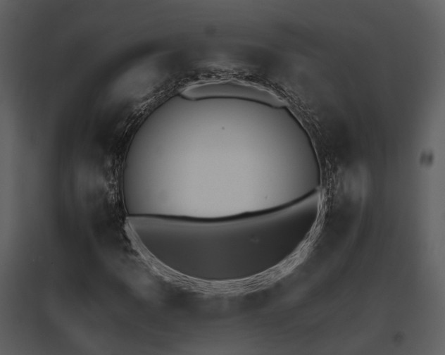 X0000095671109200801151057