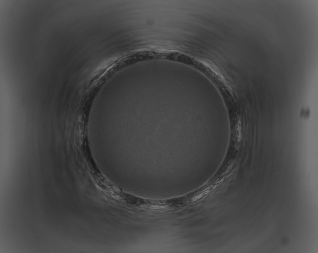 X0000095671110200801151057